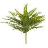 16" Maiden Fern Bush UV - view 1 of 3