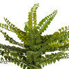 16" Maiden Fern Bush UV - view 2 of 3