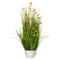 Yellow Cosmos and Grass