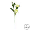 Vickerman 16" Artificial Peony Stem - view 3 of 3