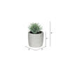 Vickerman Artificial Assorted Potted Artificial Succulents - view 3 of 3