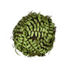 Vickerman Artificial Boston Fern Ball - view 1 of 2