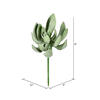 8" Green Echeveria Spray 4/pk - view 3 of 3