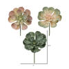 8.5" Assorted Echeveria Stem - view 8 of 8