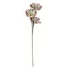 Vickerman Artificial Peperomia Succulent - view 1 of 2