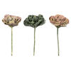 7.5" Assorted Echeveria Succulent 6/pk - view 1 of 6