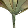 7.5" Assorted Echeveria Succulent 6/pk - view 5 of 6