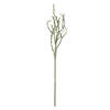 32" Mix Green Haworthia Spray Asst 6/Pk - view 4 of 7