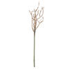 32" Mix Green Haworthia Spray Asst 6/Pk - view 3 of 7