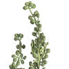 22" Mixed Green Senecio Spray Asst 6/pk - view 6 of 8