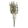 22" Mixed Green Senecio Spray Asst 6/pk - view 5 of 8