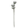 24" Mixed Green Aloe Spray Asst 3/pk - view 1 of 8
