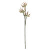 24" Mixed Green Aloe Spray Asst 3/pk - view 4 of 8
