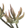 24" Mixed Green Aloe Spray Asst 3/pk - view 6 of 8