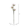 24" Mixed Green Aloe Spray Asst 3/pk - view 8 of 8