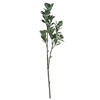 Vickerman Artificial Green and White Aglaia Spray - view 1 of 7