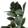 Vickerman Artificial Green and White Aglaia Spray - view 4 of 7