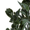 Vickerman Artificial Green and White Aglaia Spray - view 3 of 7