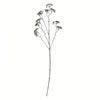 25" Brown/White Patrinia Spray 6/Pk - view 1 of 4