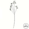 25" Brown/White Patrinia Spray 6/Pk - view 4 of 4