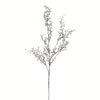27" Brown/White Snake Fern Spray 6/Pk - view 1 of 4