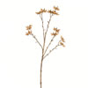 24" Beige Illicium Verum Spray 4/pk - view 1 of 4