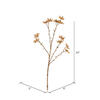24" Beige Illicium Verum Spray 4/pk - view 3 of 4