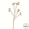 24" Beige Illicium Verum Spray 4/pk - view 4 of 4