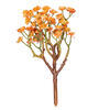 10" Orange Mini Echeveria Stem 3/Bag - view 1 of 3