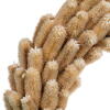 18" Cream Natural Thistle Wreath - view 3 of 5