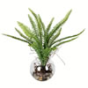 15.5" Green Fern In Glass Pot - view 1 of 3