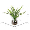 15.5" Green Fern In Glass Pot - view 3 of 3