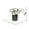 11" White Orchid In Glass Pot - view 3 of 3
