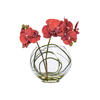 Vickerman Artificial 9.8" Butterfly Orchid In Glass Pot - view 1 of 5