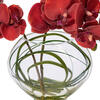 Vickerman Artificial 9.8" Butterfly Orchid In Glass Pot - view 4 of 5