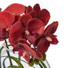 Vickerman Artificial 9.8" Butterfly Orchid In Glass Pot - view 3 of 5
