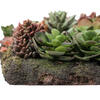 16.5" Multi-Colored Succulent Wall Arran - view 3 of 7