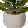 14.5" Lt Green Echeveria in Cement Pot - view 3 of 4