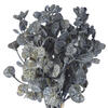 Vickerman Artificial 14" Eucalyptus Bundle - view 3 of 3