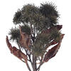 Vickerman Artificial 15" Earth Flower - view 3 of 3