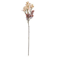 Primrose Sprays