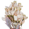 Vickerman 25.5" Artificial Primrose Flower Spray - view 2 of 4