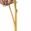 Vickerman 26" Protea Stem 2/Bag - view 3 of 4