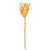 Vickerman 25" Light Orange Protea Stem 2/Bag - view 1 of 4