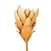 Vickerman 25" Light Orange Protea Stem 2/Bag - view 2 of 4