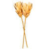 Vickerman 25" Light Orange Protea Stem 2/Bag - view 4 of 4