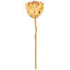Vickerman 21.5" Protea Stem 2/Bag - view 1 of 4
