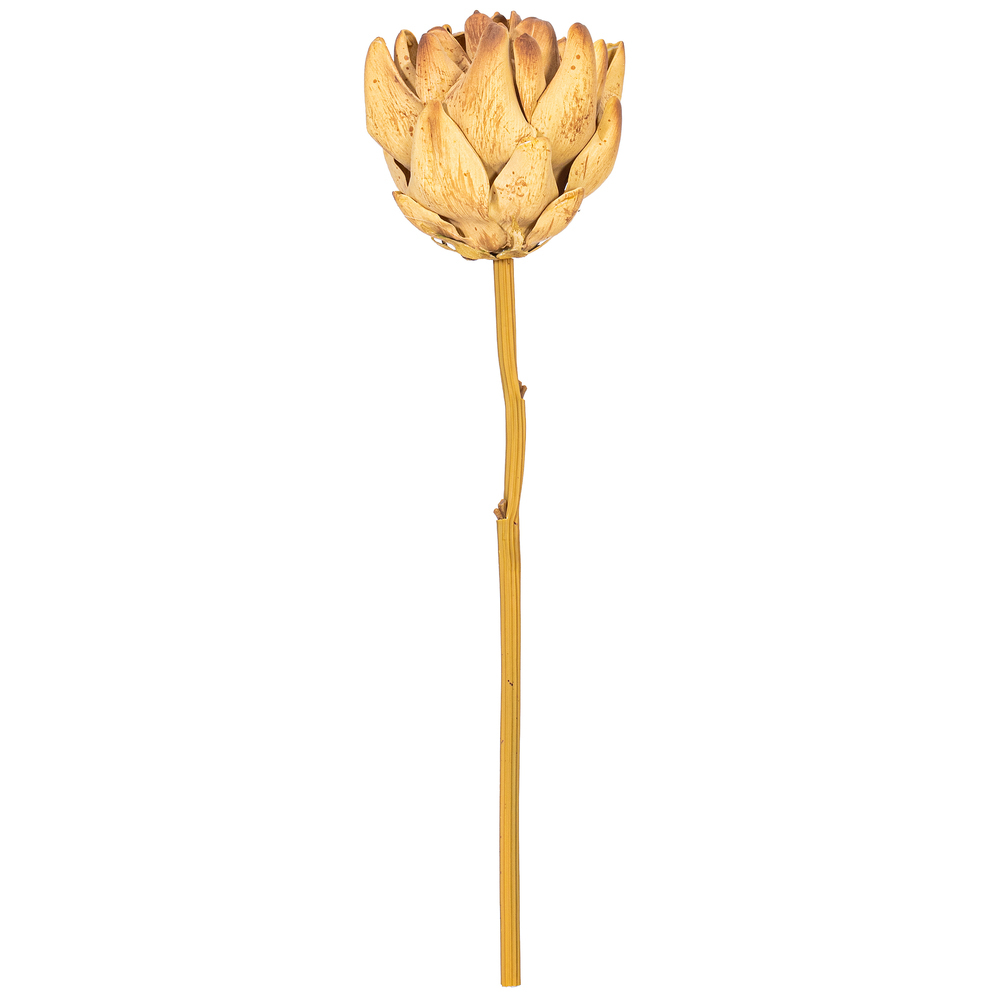 Vickerman 21.5" Protea Stem 2/Bag