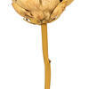 Vickerman 21.5" Protea Stem 2/Bag - view 3 of 4