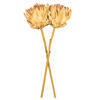 Vickerman 21.5" Protea Stem 2/Bag - view 4 of 4